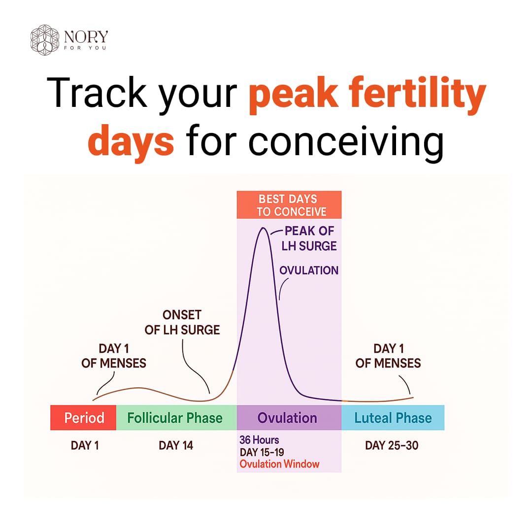 Ovulation Test Kit Combo of 5 Strips and 1 Pregnancy Kit for Women Family Planning to get Pregnant Naturally