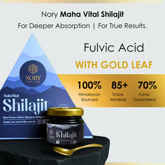 Shilajit Resin 20g – Himalayan Ayurvedic Booster for Stamina, Fertility & Wellness