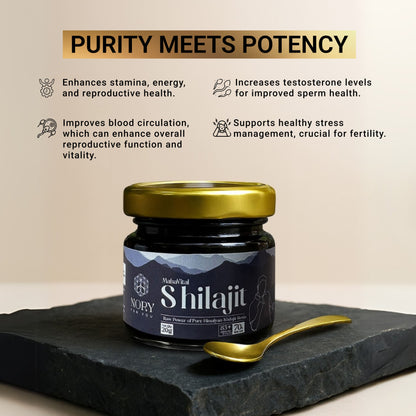 Shilajit Resin 20g – Himalayan Ayurvedic Booster for Stamina, Fertility & Wellness