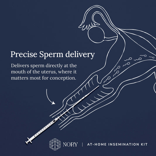 Nory Ovulation + IVI Kit Combo – Complete At-Home Pregnancy Planning Kit for Women