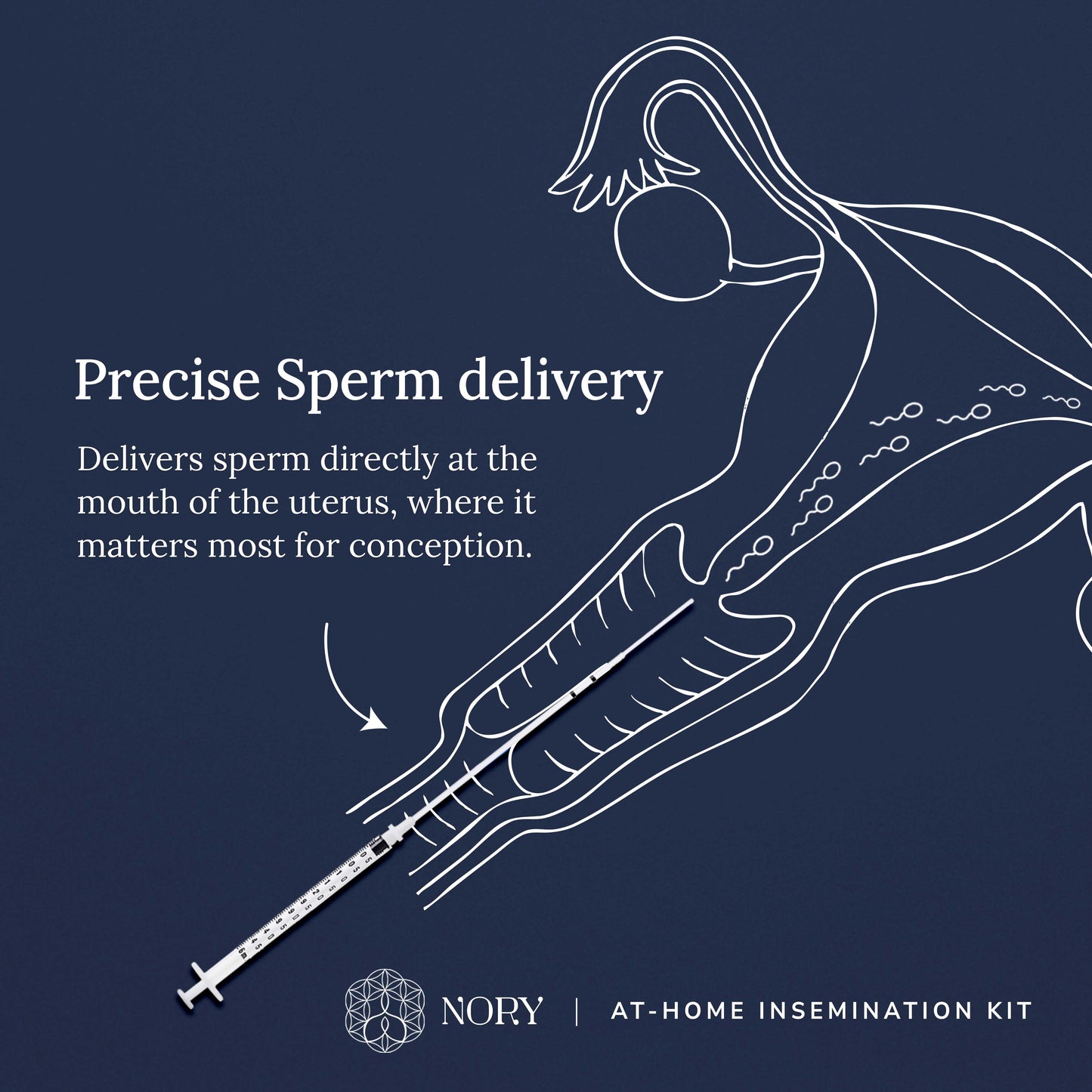 Nory IVI Kit – At-Home Insemination Kit for Women (Pack of 2)