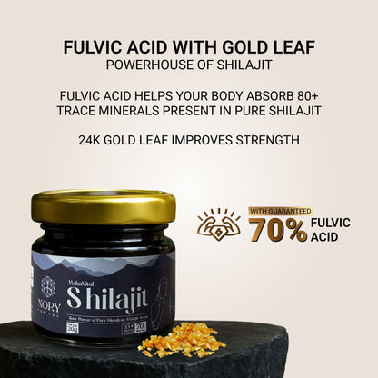 Shilajit Resin 20g – Himalayan Ayurvedic Booster for Stamina, Fertility & Wellness