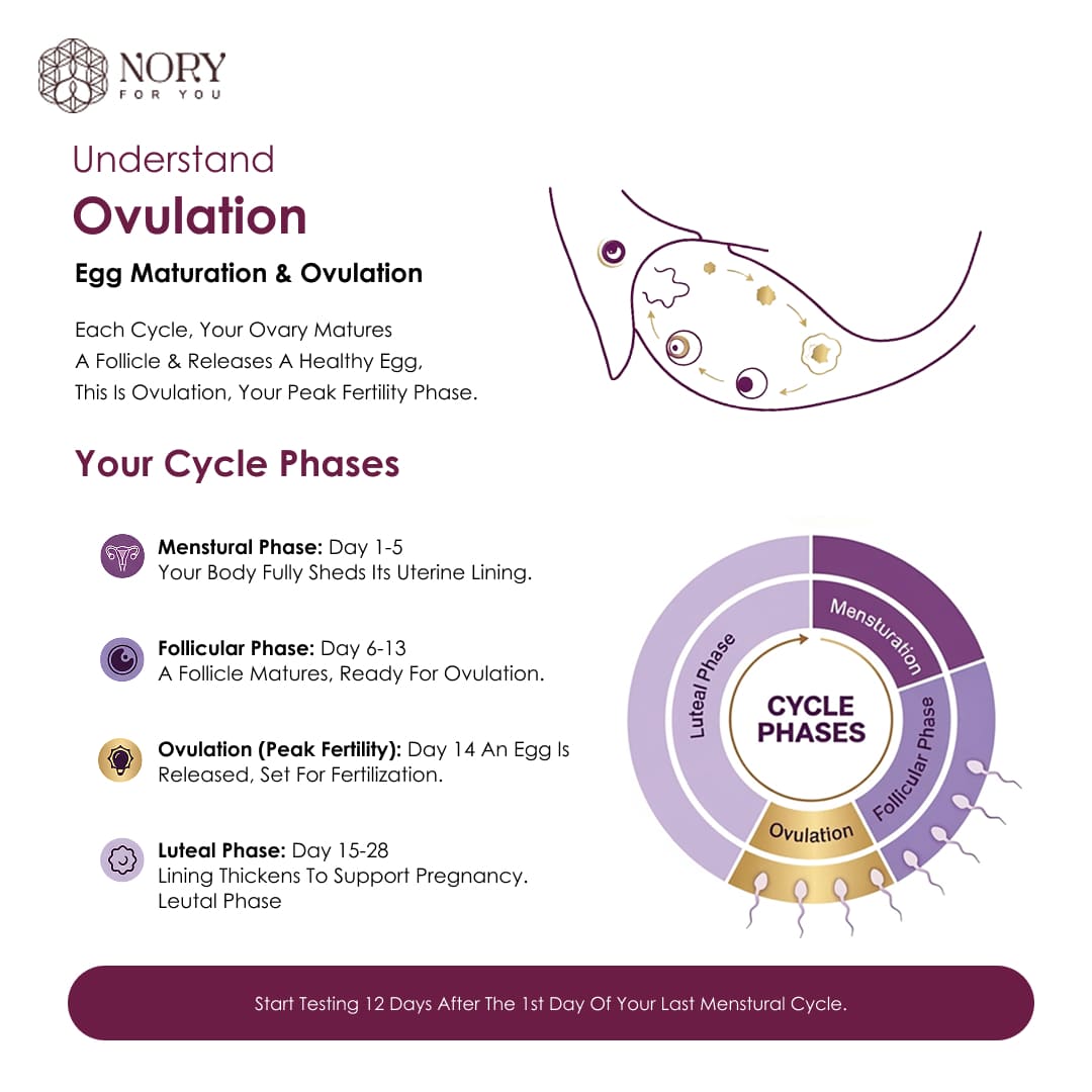 Ovulation Test Kit Combo of 5 Strips for Women Family Planning to get Pregnant Naturally