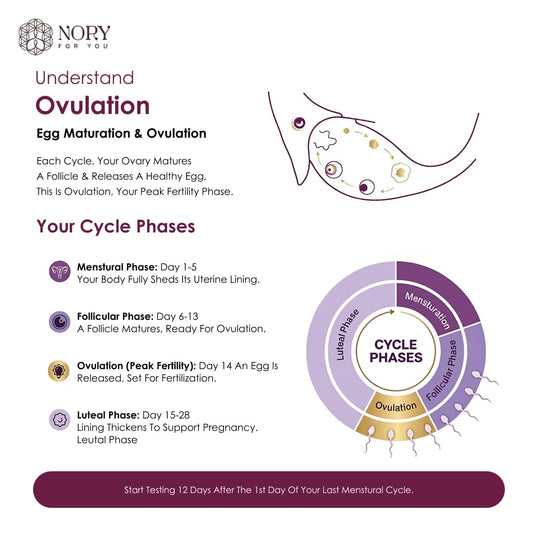 Ovulation Test Kit Combo of 5 Strips for Women Family Planning to get Pregnant Naturally