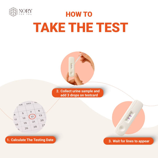 Ovulation Test Kit Combo of 5 Strips and 1 Pregnancy Kit for Women Family Planning to get Pregnant Naturally