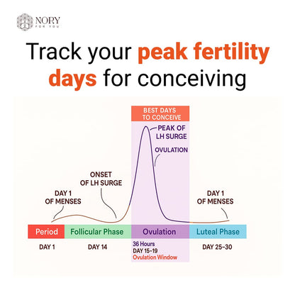 Ovulation Test Kit Combo of 5 Strips and 1 Pregnancy Kit for Women Family Planning to get Pregnant Naturally