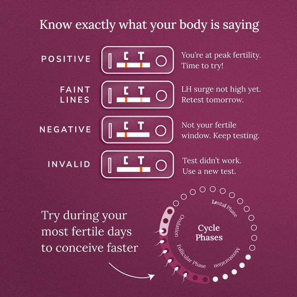 Nory Ovulation Test Kit for Women Pack of 20 Strips, Female Family Planning to Get Pregnant Naturally, Early Detection for Fertility Baby Conceive Predictor for Home