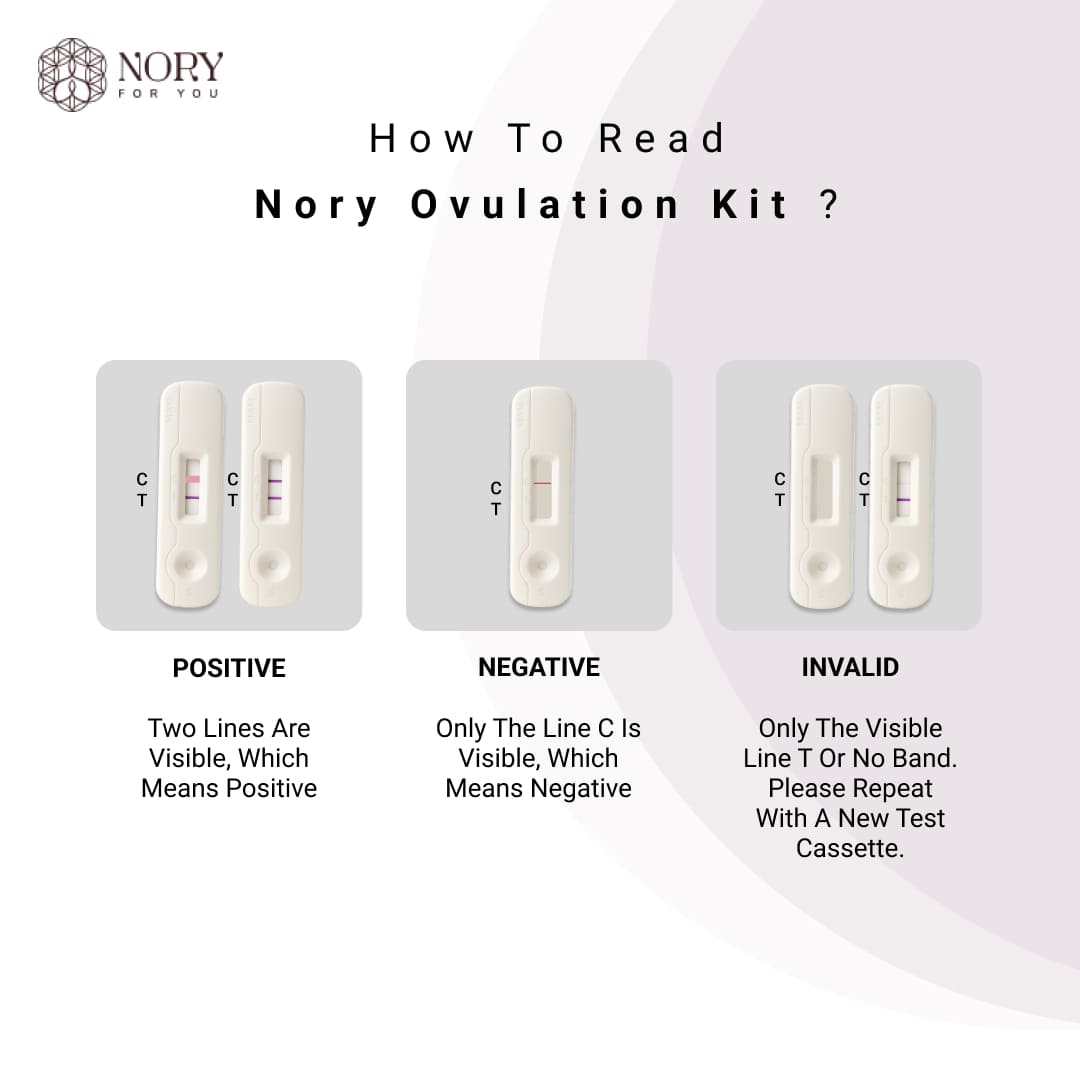 Ovulation Test Kit Combo of 5 Strips for Women Family Planning to get Pregnant Naturally