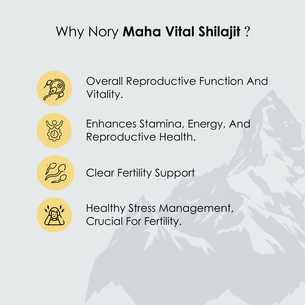 Shilajit Resin 20g – Himalayan Ayurvedic Booster for Stamina, Fertility & Wellness