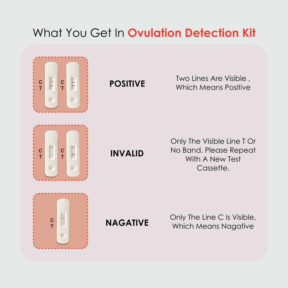 Ovulation Test Kit Combo of 5 Strips and 1 Pregnancy Kit for Women Family Planning to get Pregnant Naturally